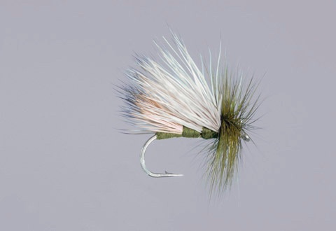 Successful dry fly pattern for trout that works everywhere